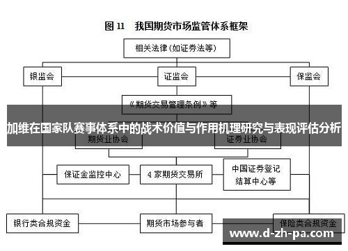 加维在国家队赛事体系中的战术价值与作用机理研究与表现评估分析
